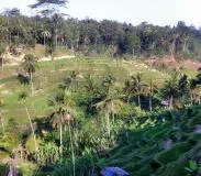 bali_best_nature.jpg
